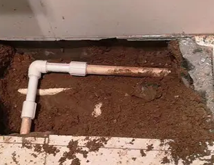 金川测漏水哪家好