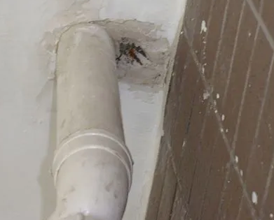 金川漏水检测哪家好